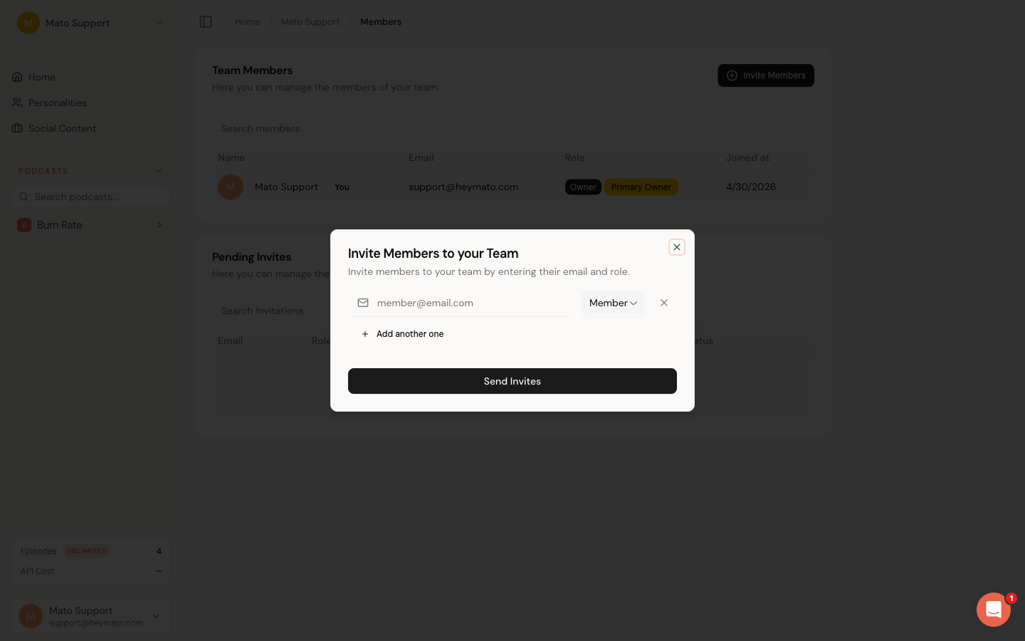 Invite members dialog with email and role fields